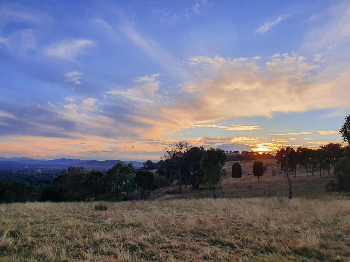 Gaddleen Grove Cottages โวดองกา ภายนอก รูปภาพ