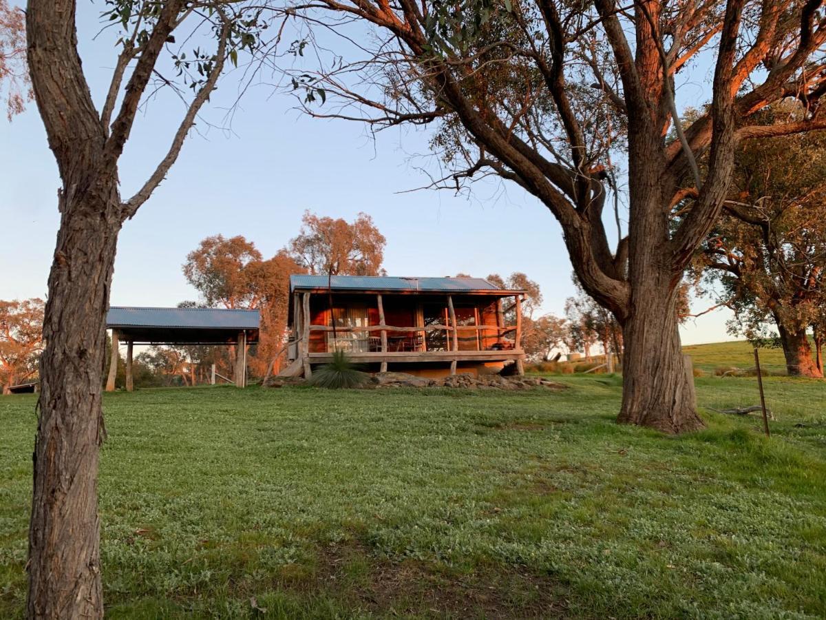Gaddleen Grove Cottages โวดองกา ภายนอก รูปภาพ