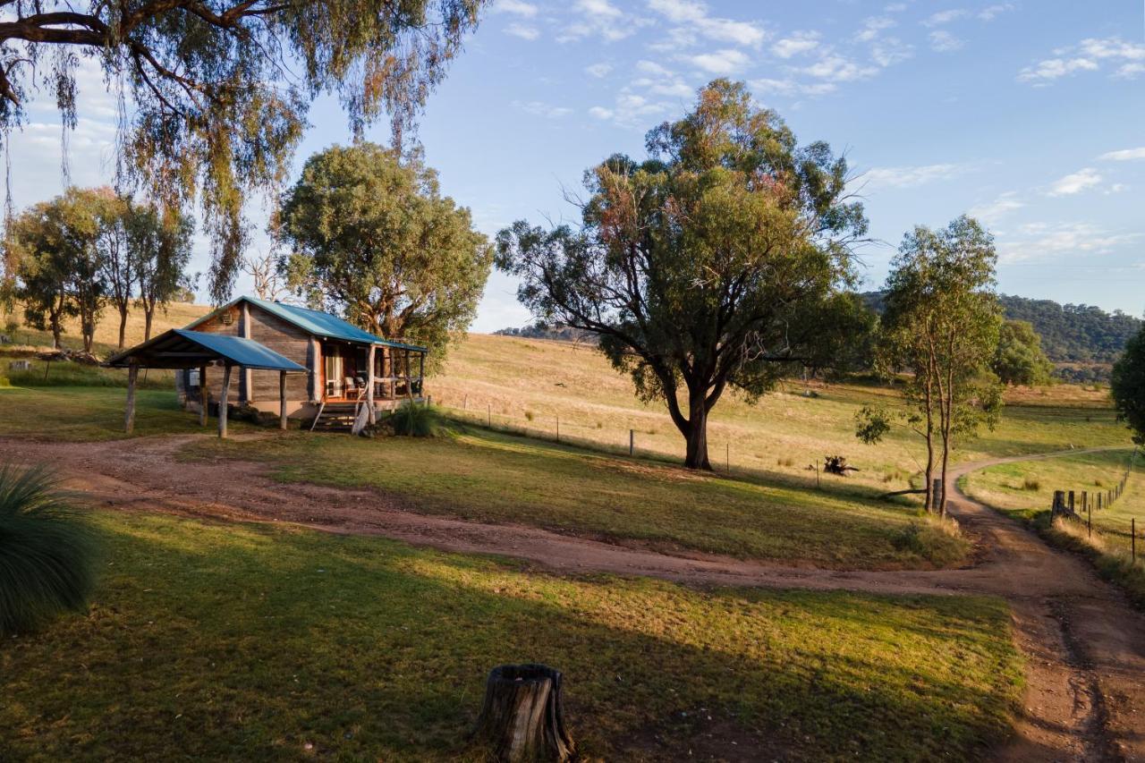 Gaddleen Grove Cottages โวดองกา ภายนอก รูปภาพ