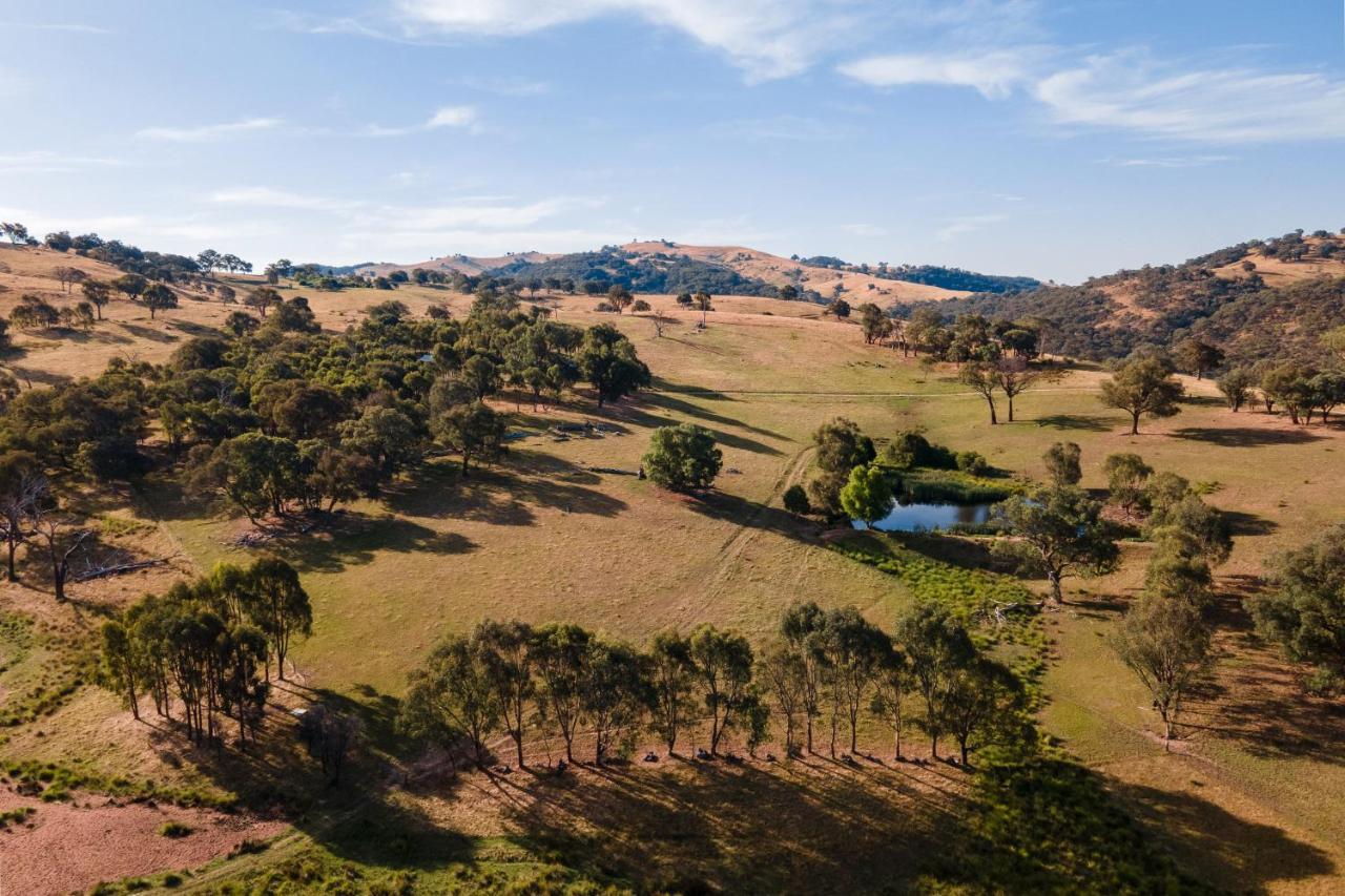 Gaddleen Grove Cottages โวดองกา ภายนอก รูปภาพ