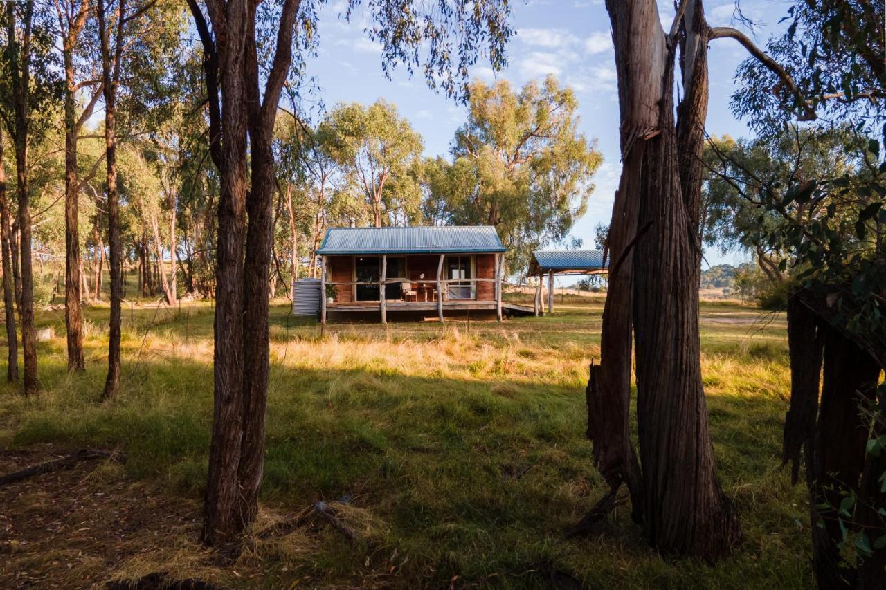 Gaddleen Grove Cottages โวดองกา ภายนอก รูปภาพ